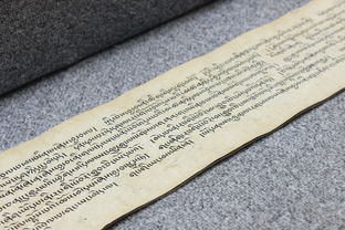 中国农信贷款平台怎么选？农信社借钱渠道全攻略