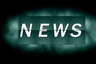 在哪个平台借钱最划算？这几点必须知道！