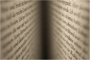 借钱平台需要什么条件？一文搞懂申请必备要求