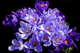 有钱花到底在哪个平台借钱？这些渠道你可能没想到