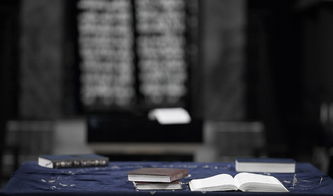 拍个照就能借钱？这5个平台靠谱吗！3分钟教你如何避坑