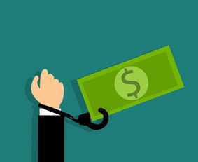 小额平台借钱没还怎么办？这5招教你化解债务危机，急用钱必看！