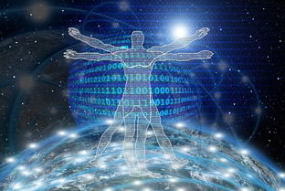 贷款平台是否联网？揭秘主流借贷平台数据共享现状