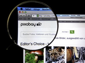 贷款平台哪个容易通过？这5类正规机构审核更宽松