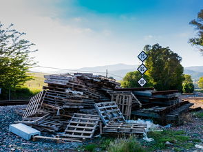 各大贷款平台被罚了吗？最新监管动态解析