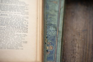 学生最容易申请贷款的五大平台推荐及注意事项